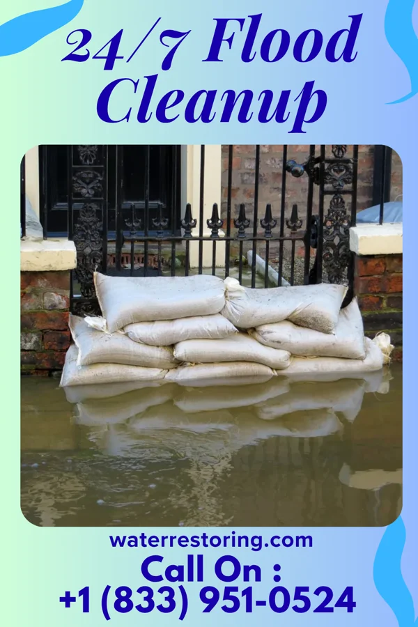 24/7 Flood Cleanup in Rich Square, NC