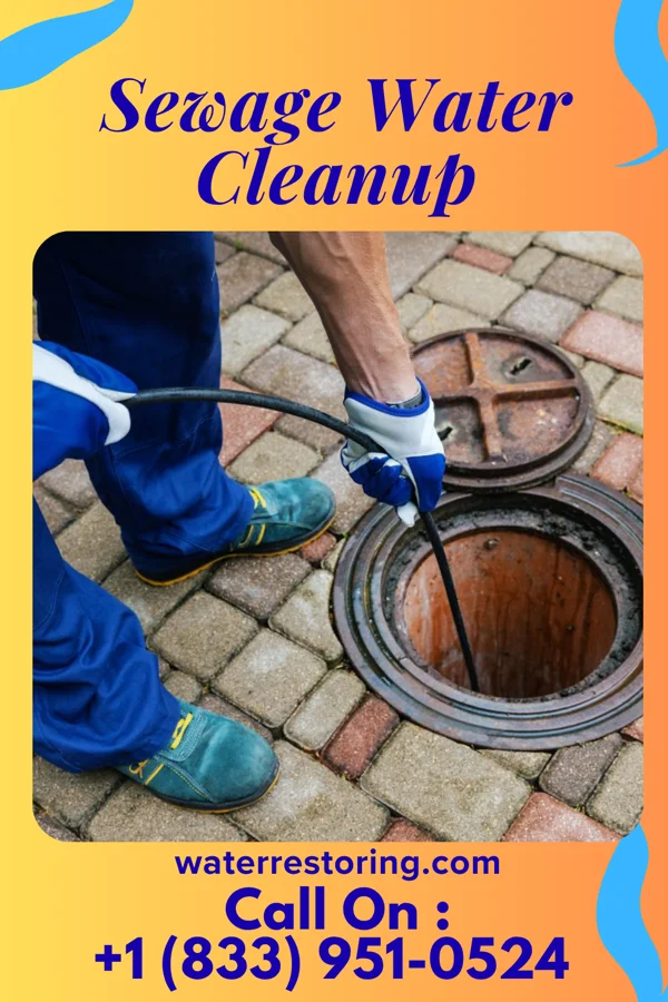 Sewage Water Cleanup in Rich Square, NC